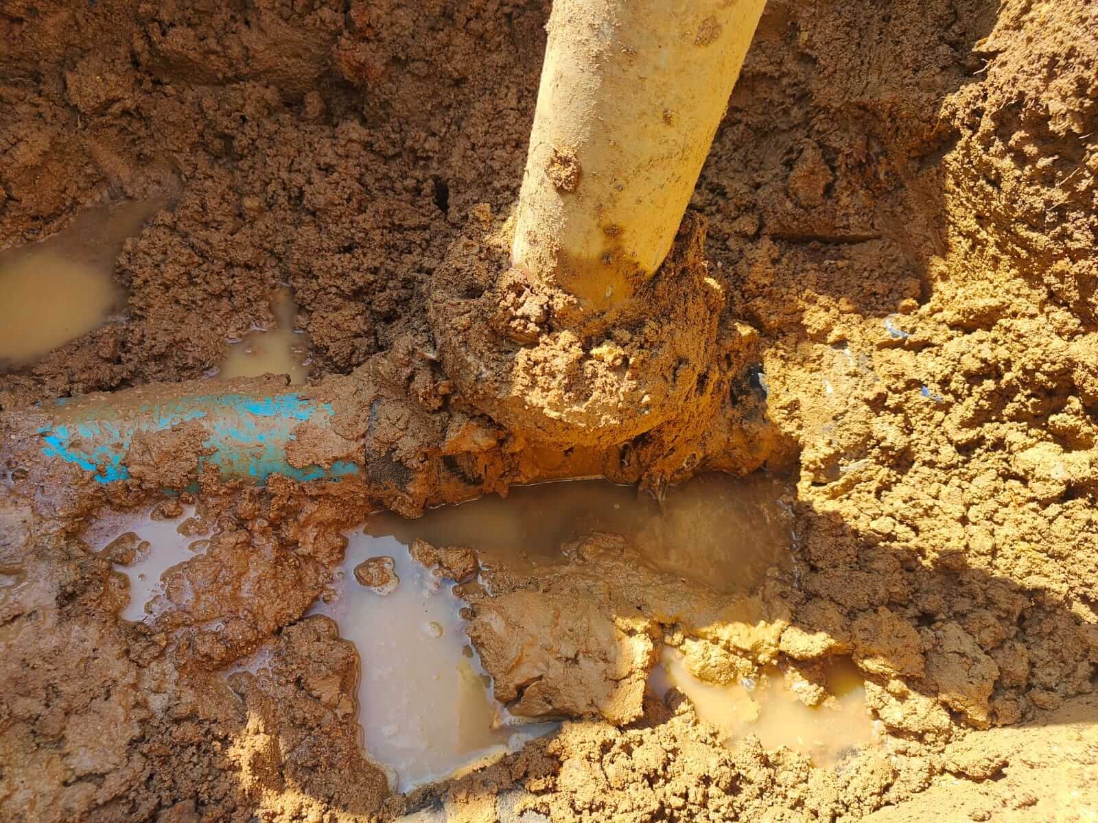 Muzee Plumb Leak Detection